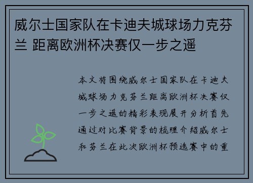 威尔士国家队在卡迪夫城球场力克芬兰 距离欧洲杯决赛仅一步之遥